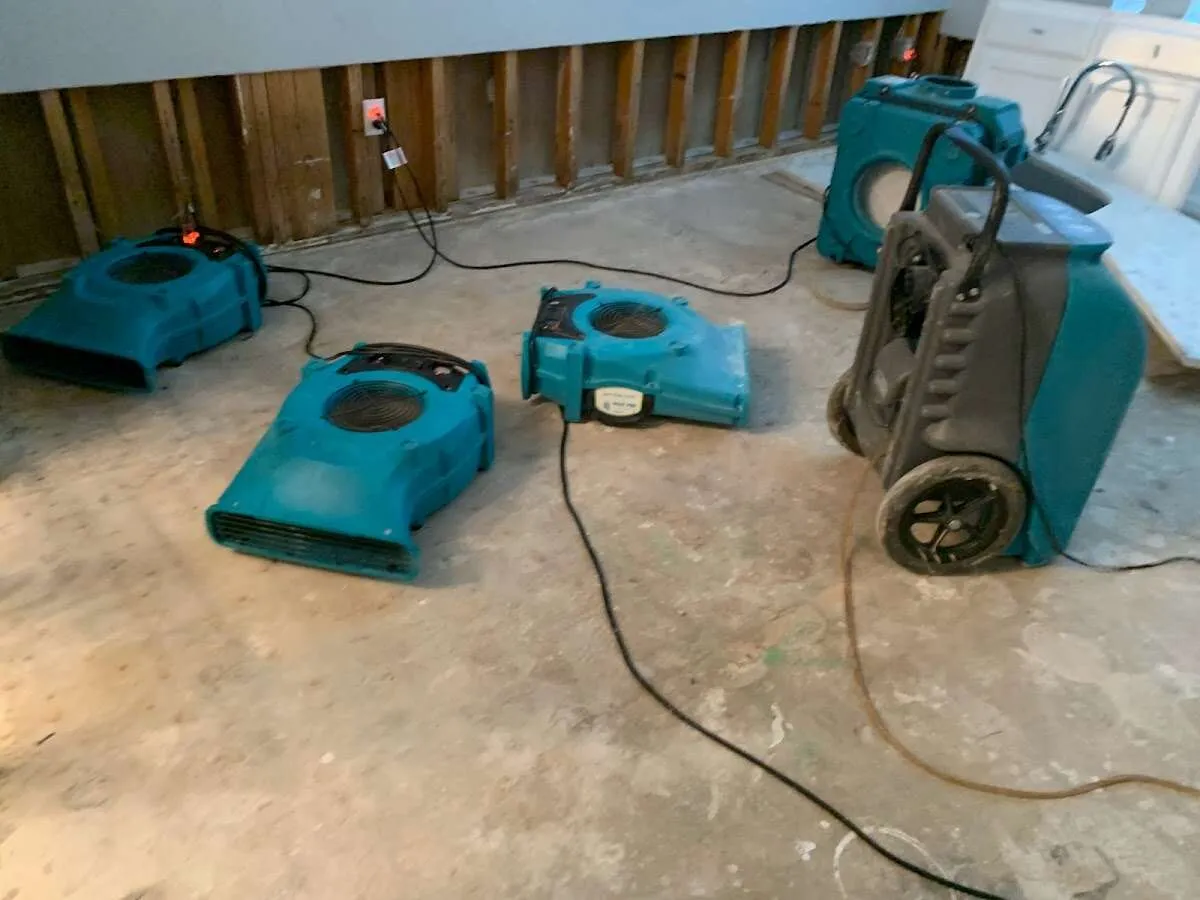 Water Damage Restoration services in Fox Lake, IL